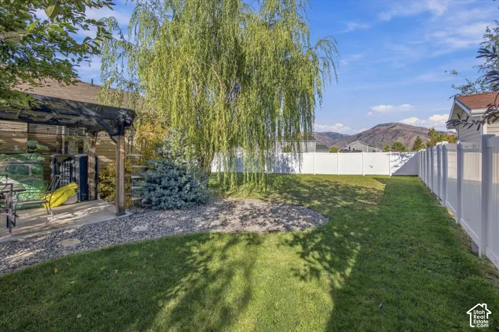 Expansive backyard featuring a manicured lawn, mature weeping willow, privacy fencing, and a covered patio with a gravel border