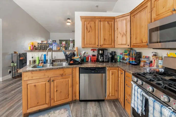 Wood-finish flooring, stainless steel appliances, natural wood cabinetry, double basin sink, and speckled countertops