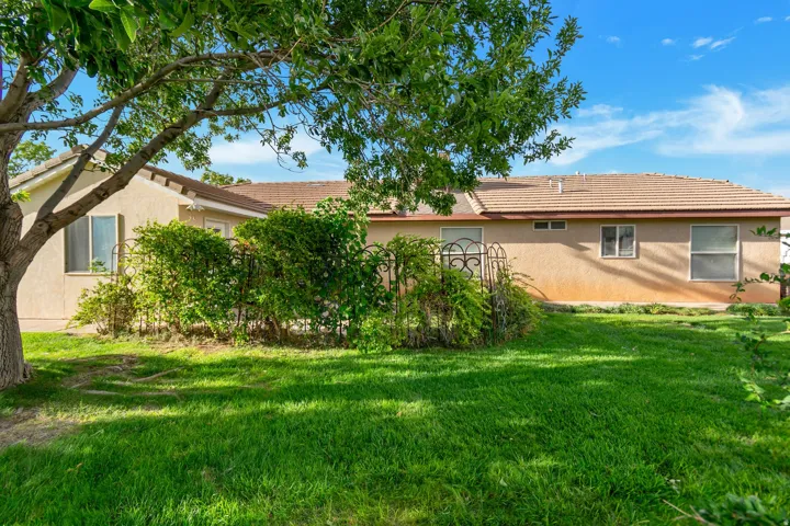 Expansive lawn with mature tree, stucco exterior, and tiled roofing
