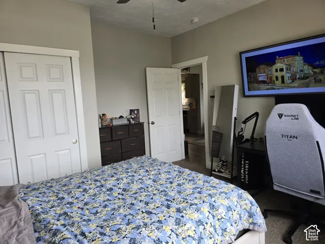 Carpeted flooring with painted walls