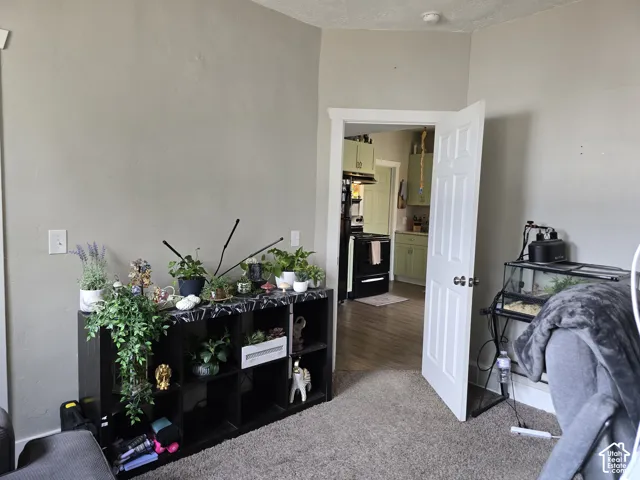 Kitchen entry with wood-finish flooring