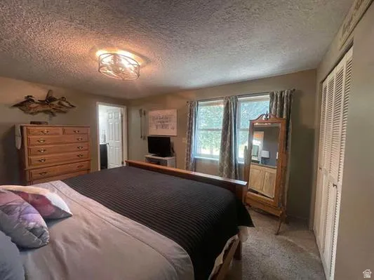 Recessed lighting, dual windows, and bifold closet doors
