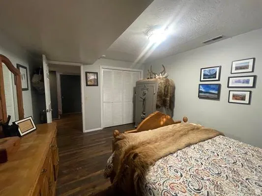 Wood-finish flooring, light grey wall paint, and white bi-fold closet doors