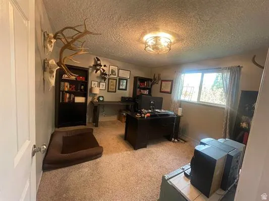 Carpeted room featuring a ceiling-mounted light fixture, built-in shelving, and a large window