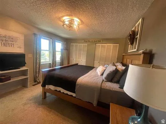Built-in closet storage, dual windows, ceiling-mounted light fixture, and carpet flooring
