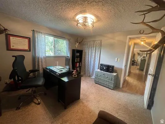 Window with outdoor greenery, ceiling-mounted lighting fixture, built-in shelving, carpeted flooring, and wood-finish flooring in the hallway