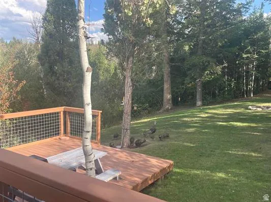 Expansive wood-finish deck with wire mesh railing, surrounded by mature trees and a manicured lawn