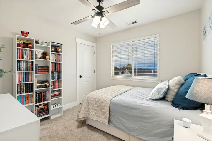 Neutral wall paint, window with blinds, ceiling fan, carpet flooring, and white trim