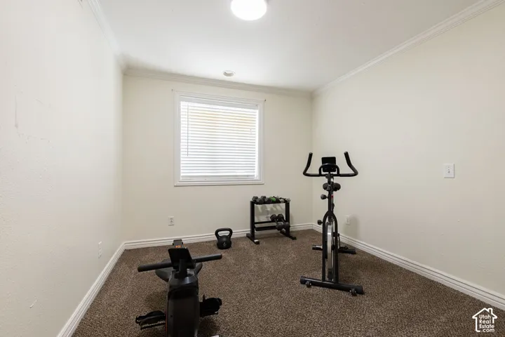 Neutral wall paint, ceiling light fixture, crown molding, white window frame, and textured carpet flooring