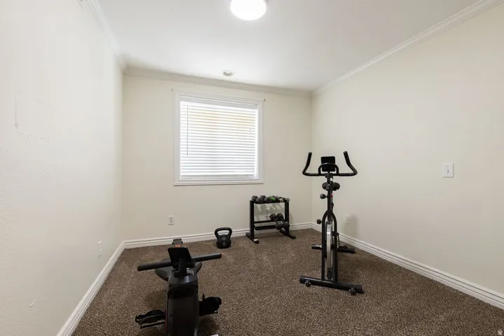 Neutral wall paint, ceiling light fixture, crown molding, white window frame, and textured carpet flooring