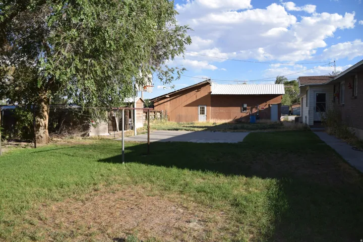 Expansive grassy area with mature shade tree