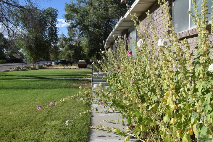 Brown brick exterior with white trim and a concrete walkway