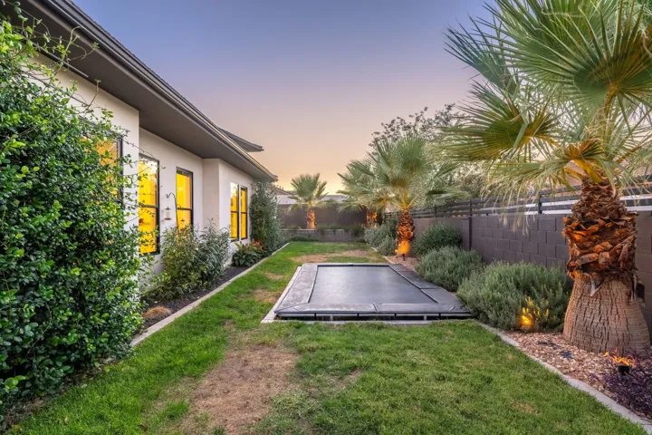 Expansive backyard featuring a manicured lawn, established palm trees, and an in-ground trampoline