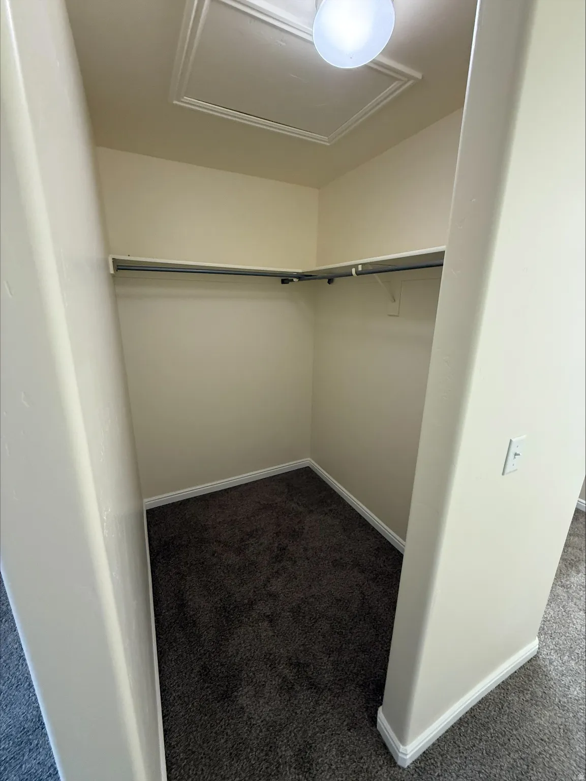 Recessed closet featuring dark gray carpeting, a built-in shelf, and a clothing rod