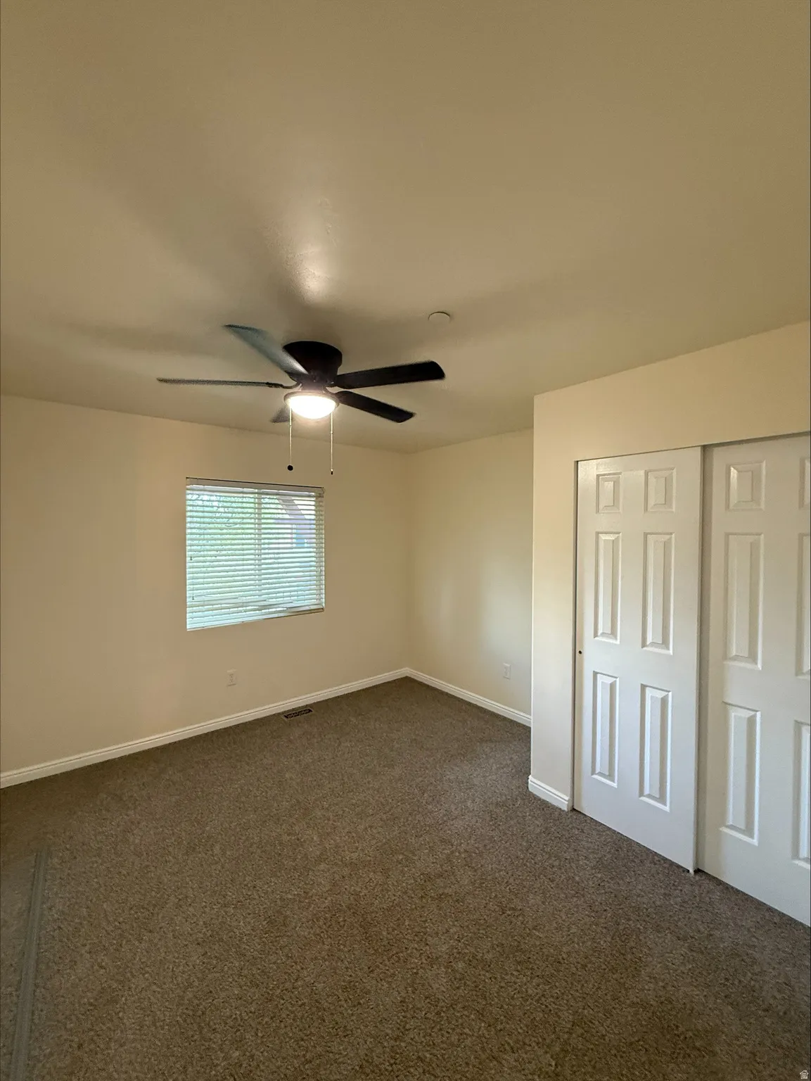 Neutral-toned walls complement the textured carpet flooring