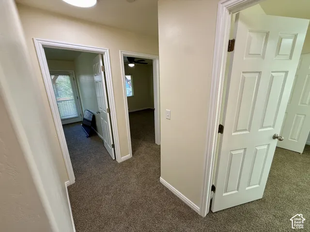 Carpeted hallway with multiple paneled doors and a ceiling-mounted light fixture