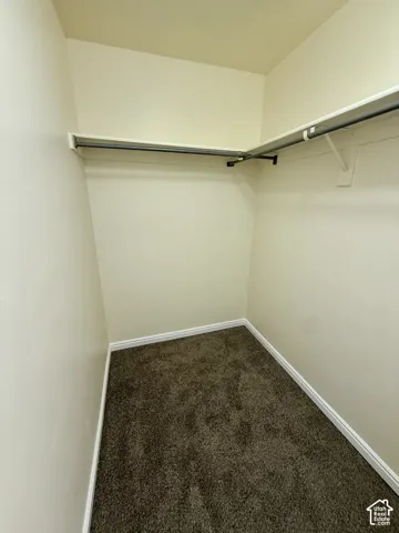 Built-in shelving and hanging rods, plush carpeting, and white trim
