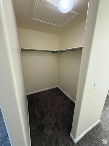 Recessed closet featuring new carpeting, a built-in shelf, and a clothing rod
