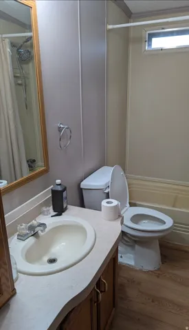 Vanity with integrated sink, wood-finish flooring, and built-in bathtub with shower