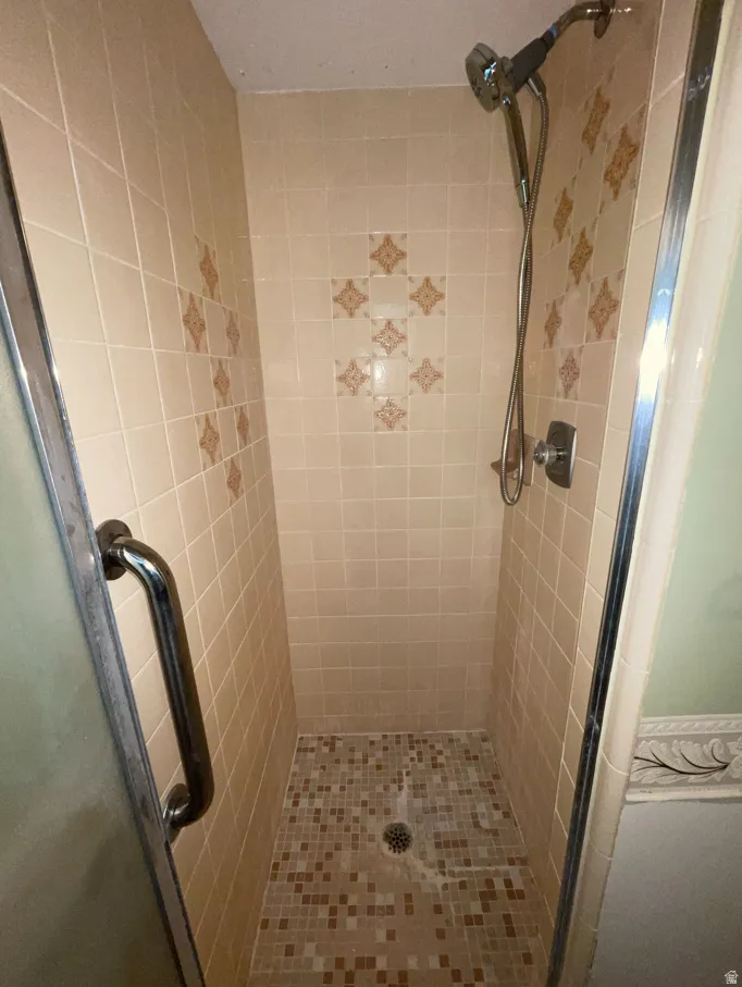 Master Bathroom Shower