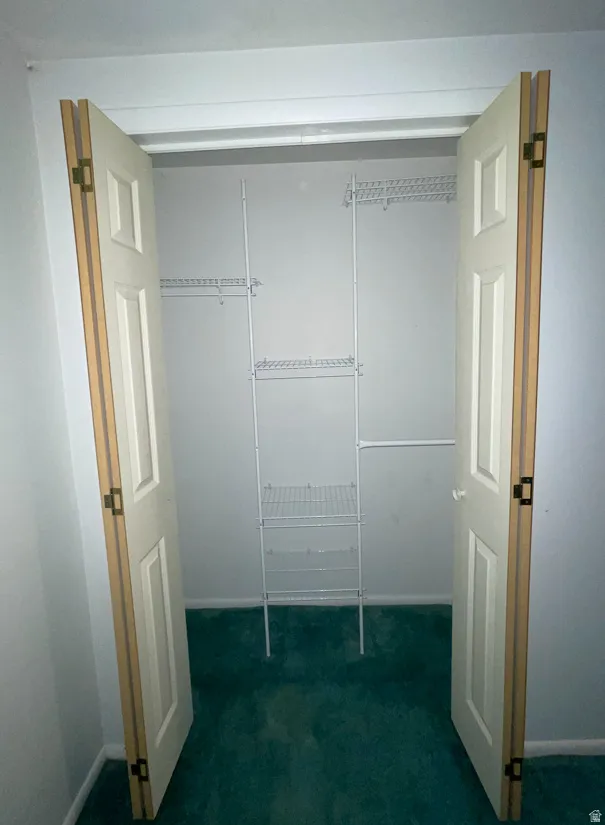 Downstairs Bedroom Closet