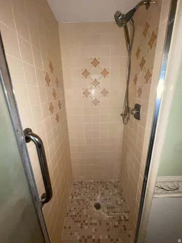 Master Bathroom Shower