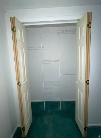 Downstairs Bedroom Closet