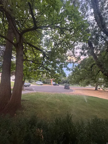 Mature trees providing ample canopy, expansive lawn areas, and established shrubbery