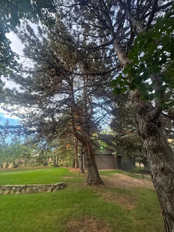 Expansive outdoor space featuring mature trees, a manicured lawn, and a stone retaining wall