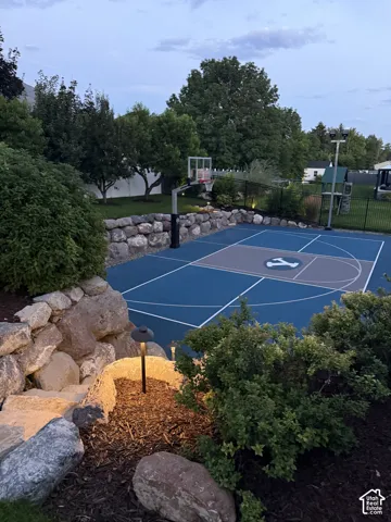 Outdoor sports court with painted surface, integrated basketball hoop, and perimeter landscaping