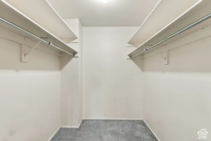 Recessed ceiling light, carpeted flooring, and built-in shelving with hanging rods