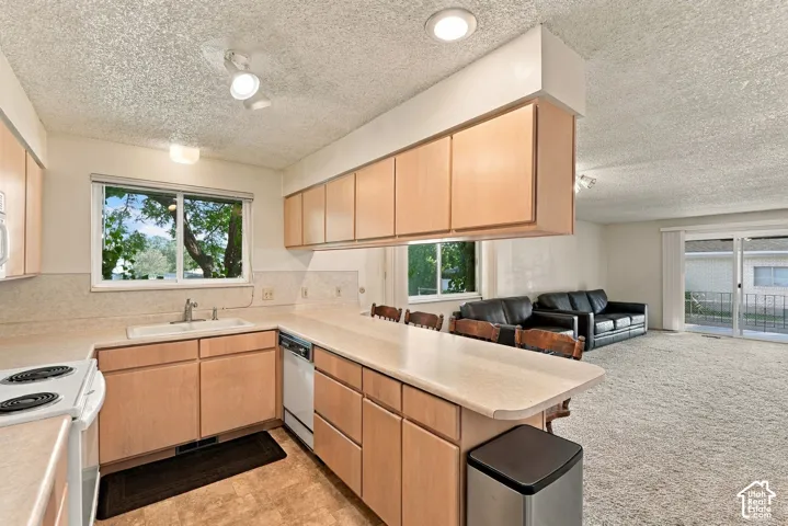 Kitchen featuring light wood-finish cabinetry, light-toned countertops, and a white sink