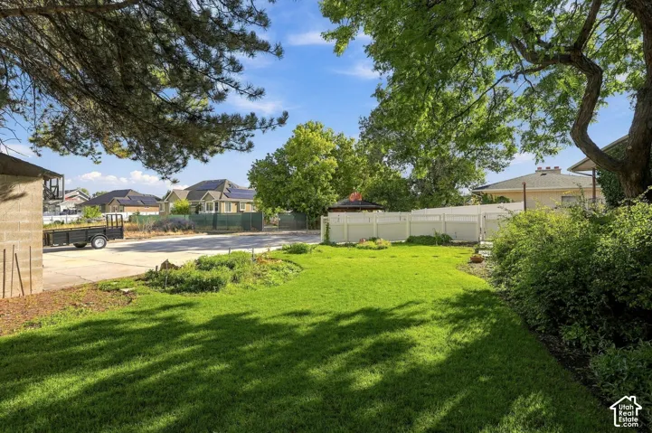 Expansive lawn area, mature trees, established shrubbery, and a white privacy fence