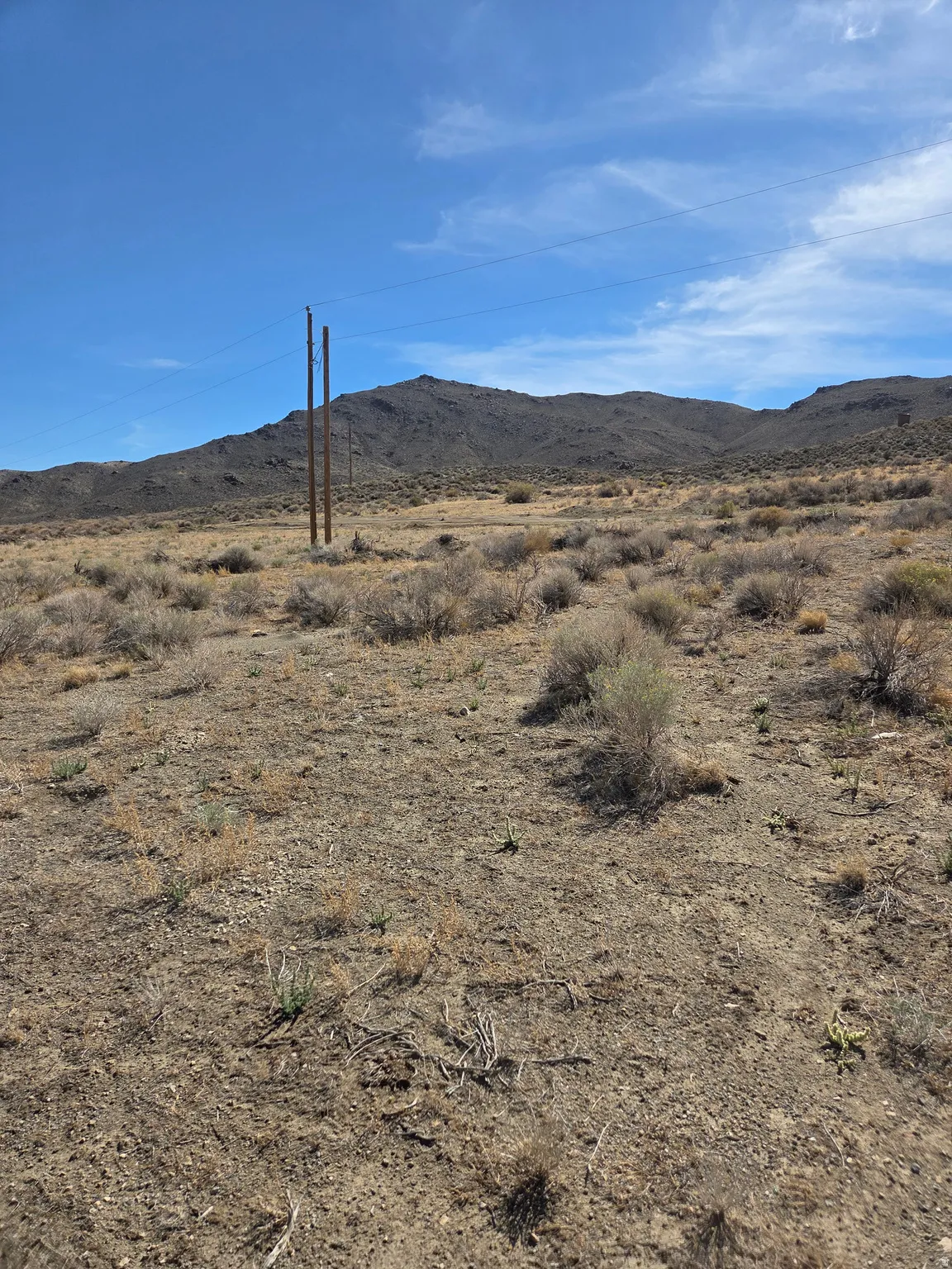 Expansive land parcel featuring natural desert vegetation, distant mountains, and utility poles