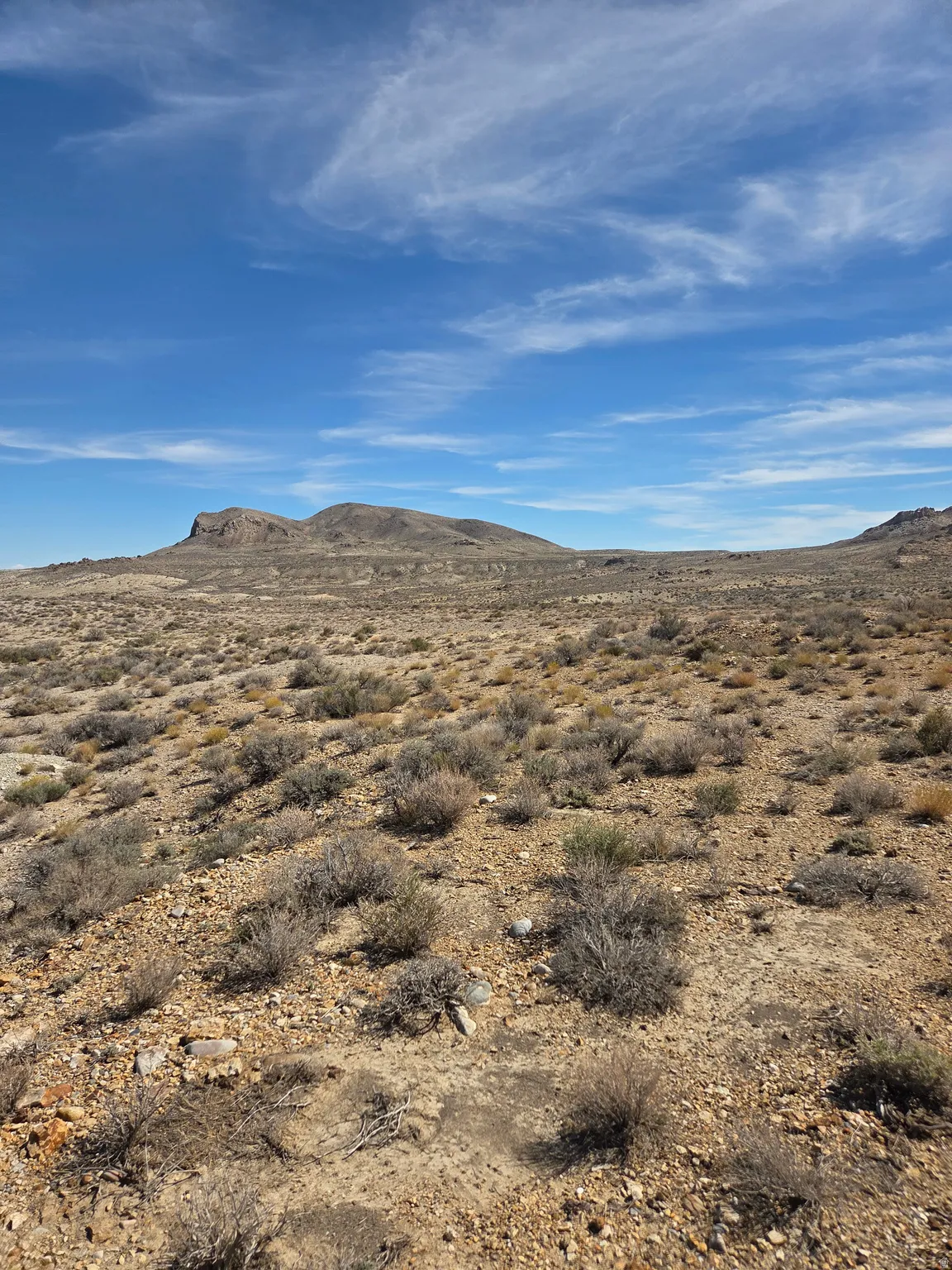 Expansive desert landscape with natural vegetation and distant mountainous terrain under a vast sky
