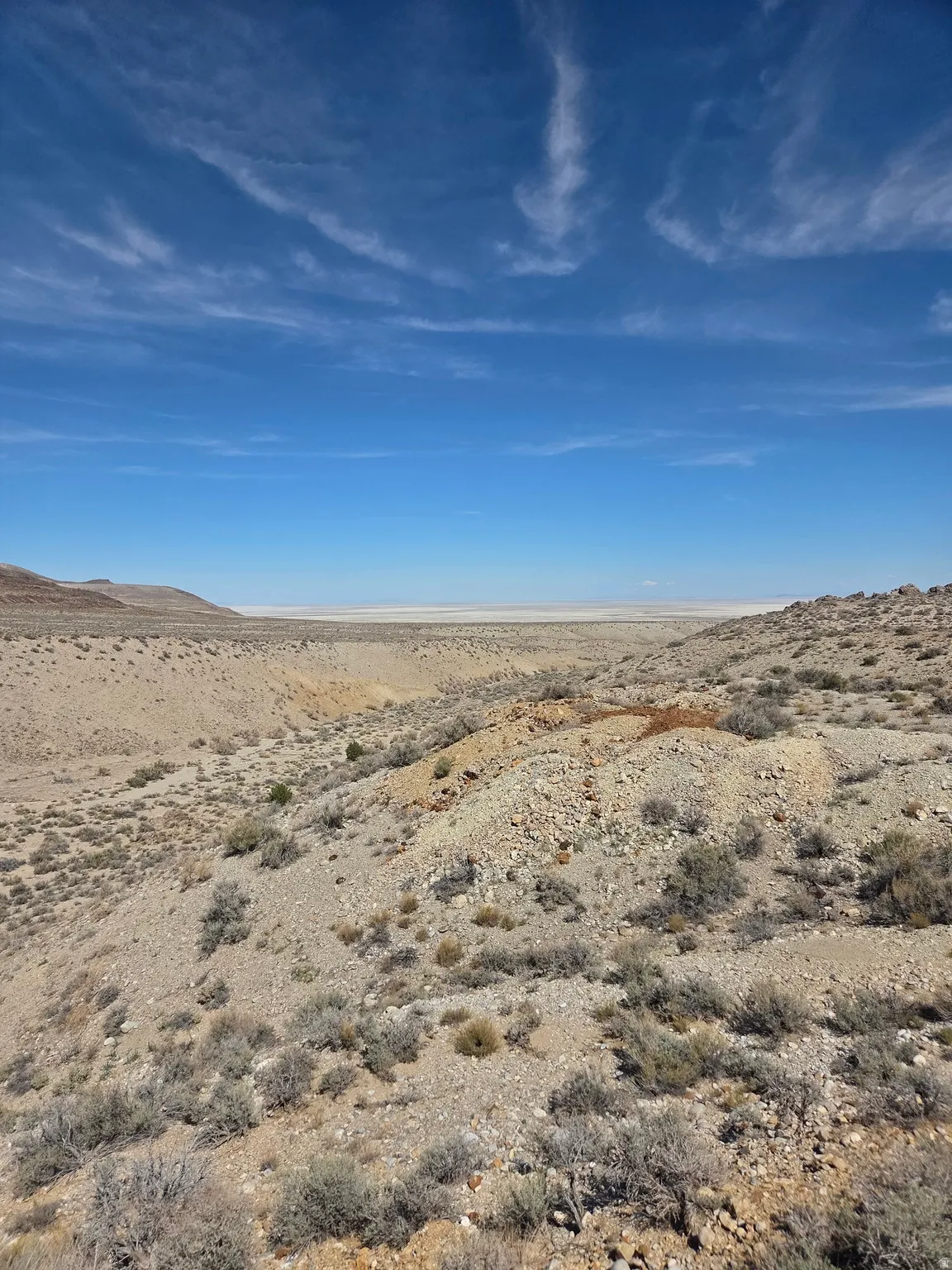 Expansive desert landscape featuring arid vegetation, rolling hills, and a distant flat expanse under a clear sky