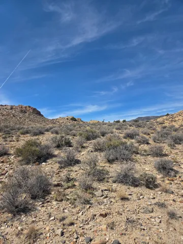 Desert landscape with varied terrain and natural vegetation under a clear sky