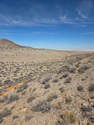 Desert landscape featuring sparse vegetation and a clear blue sky