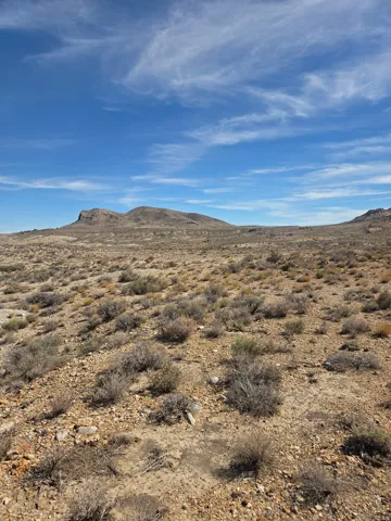 Expansive desert landscape with natural vegetation and distant mountainous terrain under a vast sky