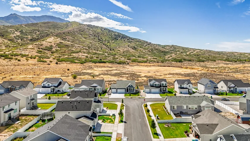 Residential neighborhood with established homes on paved streets