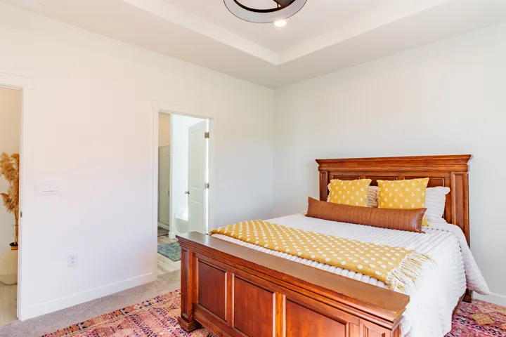 Recessed tray ceiling with central lighting fixture, light gray wall paint, and light gray carpeted flooring