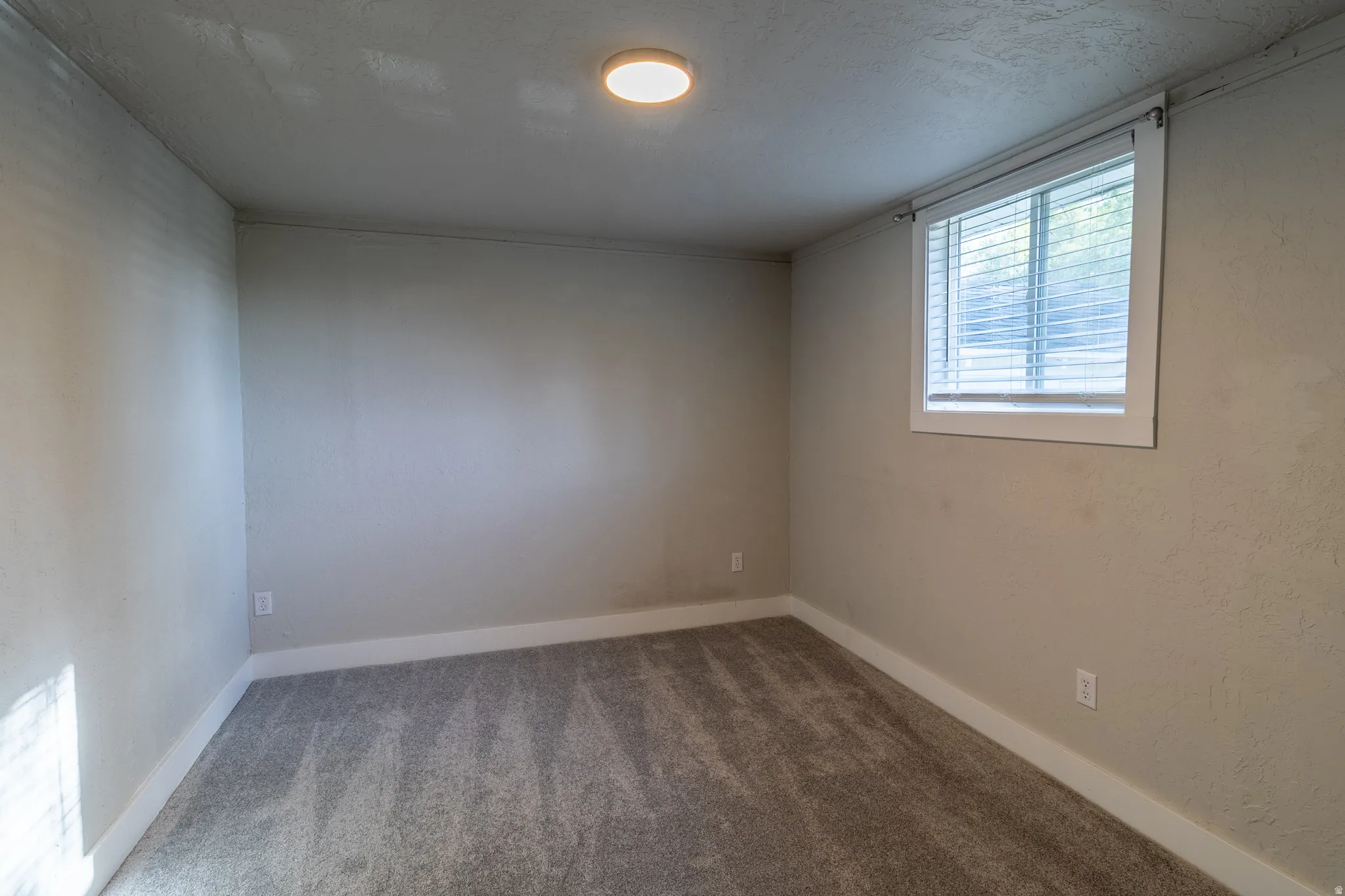 Neutral-toned walls complement the gray carpeting