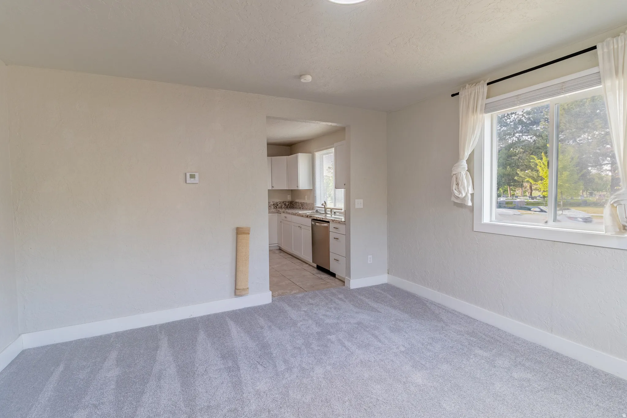 Gray carpeting, light-toned walls, and a window with white trim
