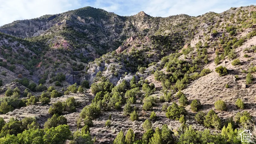 Mountainous terrain featuring diverse vegetation and rock formations