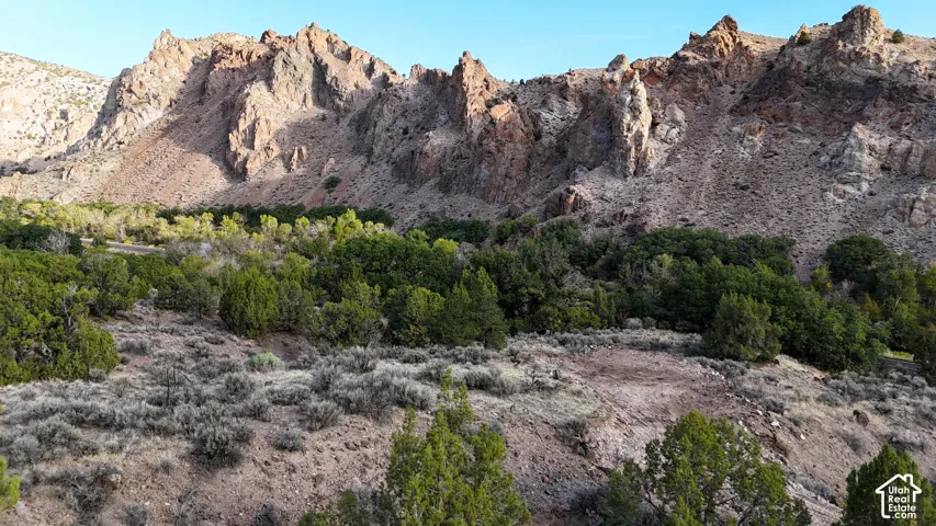 Mountainous terrain with natural vegetation, including evergreen trees and scrubland, under a clear sky
