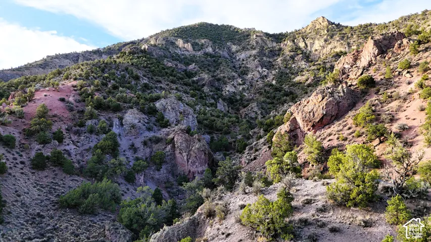 Mountainous terrain featuring diverse rock formations and various hardy shrubbery