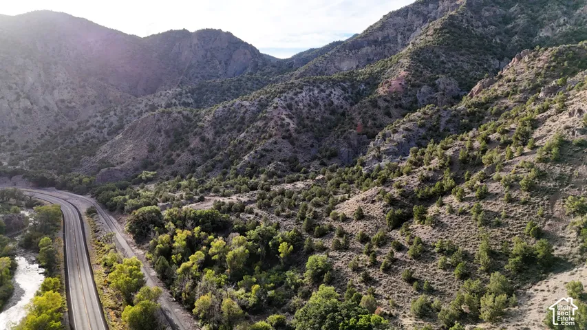 Mountainous terrain, winding road, adjacent river, diverse tree cover