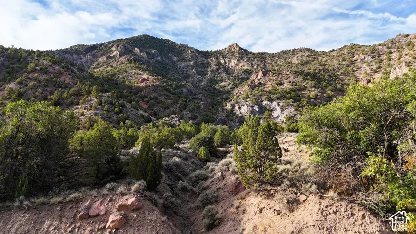 Mountainous terrain featuring diverse natural vegetation and rock formations