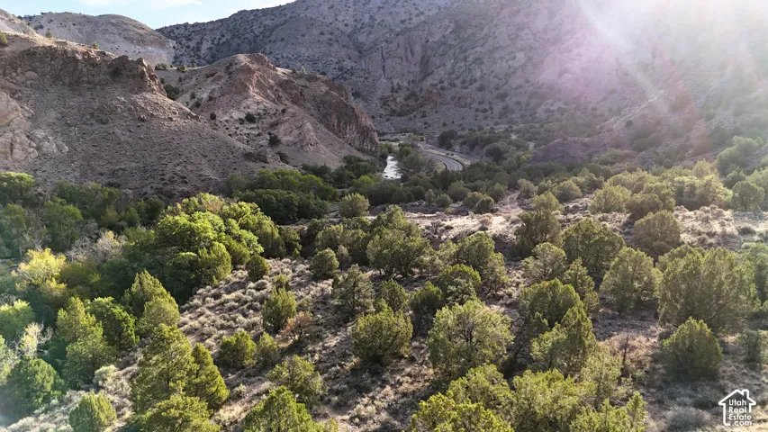 Natural landscape featuring mountainous terrain, mature trees, and a winding river