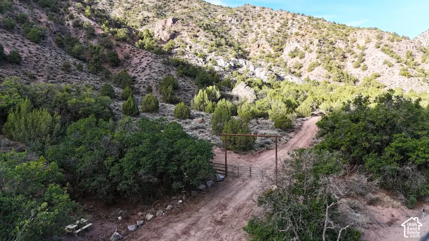 Mountainous terrain with natural vegetation, featuring a dirt pathway and a metal gate